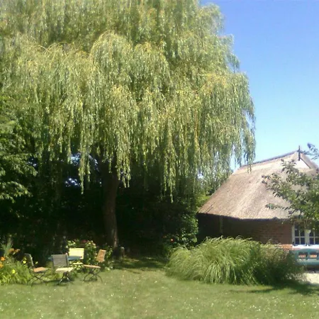 Our Thatched House