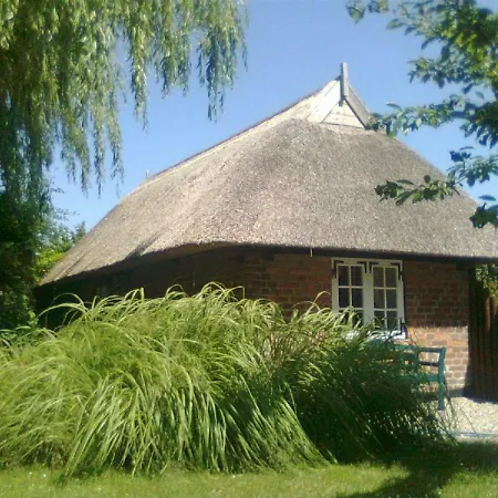 招待所 Our Thatched House